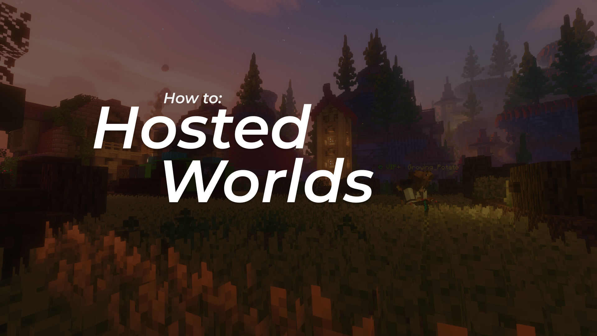 Hosted Worlds